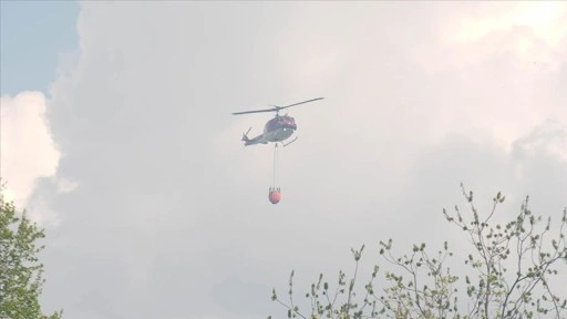 ABD'de Büyük Kanyon Milli Parkı'nda çıkan orman yangını bir günde yaklaşık 20 kat büyüdü