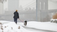 ABD&#039;deki sert kış şartları hayatı olumsuz etkilemeye devam ediyor: 58 ölü