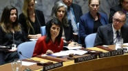 ABD'den BM Güvenlik Konseyine 'Suriye ve Kuzey Kore' çağrısı
