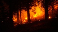 ABD'nin batı yakasındaki orman yangınlarında 34 kişi hayatını kaybetti