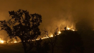 ABD'nin Utah eyaletindeki orman yangını yaklaşık 8 bin 800 hektarlık alana yayıldı
