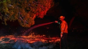 ABD'nin California eyaletinde çıkan yangında onlarca kilometrekarelik bitki örtüsü yok oldu