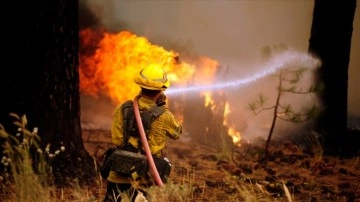 ABD’nin New Mexico eyaletinde orman yangınları sürüyor