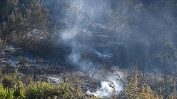 ABD'nin Washington eyaletinde devam eden orman yangınlarında 2 kişi öldü