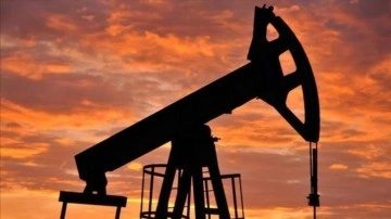 AB'yi Rusya'ya ambargo konusunda en çok düşündüren 800 bin varillik Druzhba petrolü