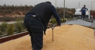 Adana'da polis, mısır yüklü tırlarda şişle kaçak akaryakıt aradı