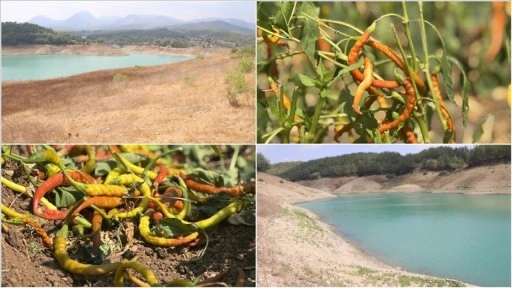 Adana'da üç barajın doluluk oranı kuraklık nedeniyle düştü
