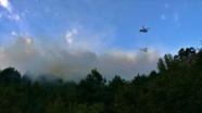 Adana'daki orman yangınını söndürme çalışmaları sürüyor