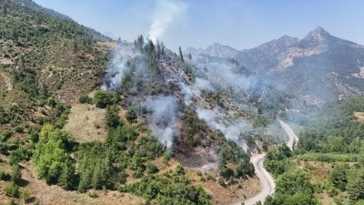 Adana'nın Feke il&ccedil;esinde orman yangını &ccedil;ıktı