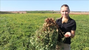 Adana'da 6 kuşaktır çiftçilik yapan ailenin arazisi 24 yaşındaki kızlarına emanet