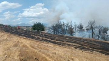 Adana'da çıkan orman yangınına müdahale ediliyor