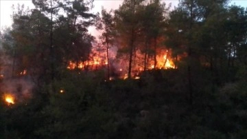 Adana'nın İmamoğlu ilçesinde çıkan orman yangını kontrol altına alındı