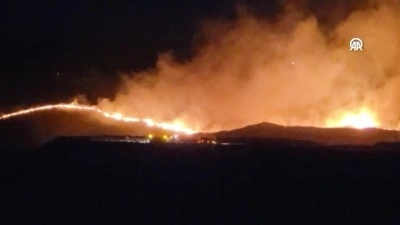 Adıyaman'da otluk alanda &ccedil;ıkıp ormana sı&ccedil;rayan yangını s&ouml;nd&uuml;rme &ccedil;alışmaları devam ediyor