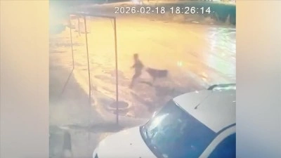 Adıyaman'da sahipsiz k&ouml;peklerin saldırısına uğrayan &ccedil;ocuğu &ccedil;evredekiler kurtardı