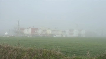 Adıyaman ve Kahramanmaraş'ta sis etkili oldu