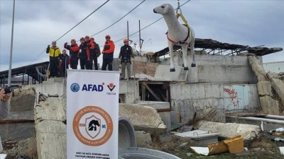 AFAD'dan afetlerde hayvanların korunmasına y&ouml;nelik uluslararası proje