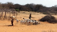 Afrika&#39;nın kuraklık stratejisi hazırlandı
