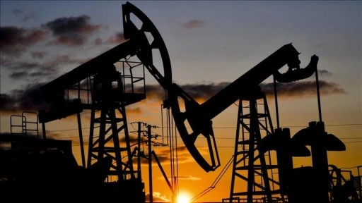 Afrika Petrol Üreten Ülkeler Örgütü Türkiye ile her türlü enerji işbirliğine açık