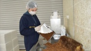 Afyonkarahisar'da bal peteklerinden üretilen 'arı ekmeği' talep görüyor