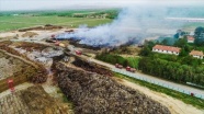 Afyonkarahisar'da biyokütle enerji santralindeki yangında 30 bin ton odun ve tomruk yandı