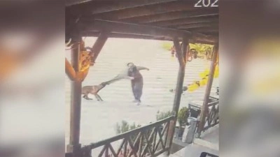 Afyonkarahisar'da sahipli k&ouml;peğin saldırısında yaralanan kadın taburcu edildi