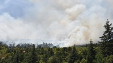 Afyonkarahisar'da ağaçlık alanda çıkan yangına müdahale ediliyor