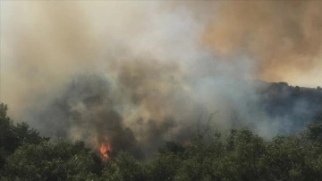 Afyonkarahisar'da çıkan orman yangınına müdahale ediliyor
