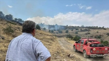Afyonkarahisar'da dağlık alanda çıkan örtü yangını söndürülmeye çalışılıyor