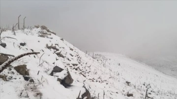 Afyonkarahisar'ın yüksek kesimlerinde kar yağışı etkili oldu