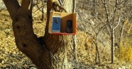 Ağaca asılan kutudan iletişim