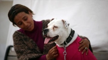 Ağır hasarlı binaya girerek kurtardığı köpeği "Rita" ile çadır kentte kalıyor