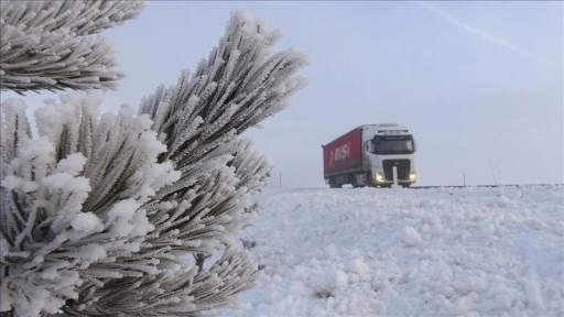 Ağrı, Ardahan, Tunceli ile Kars'ta sis ve buzlanma etkili oldu