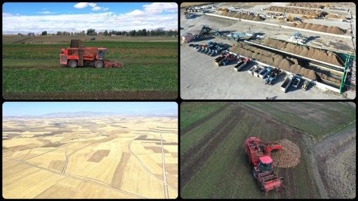 Ağrı'da devlet desteğiyle ekilen tarım ürünlerinde çeşitlilik artıyor