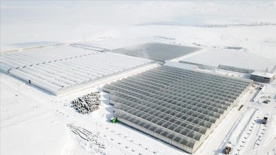 Ağrı'daki Diyadin Jeotermal Isıtmalı Sera OTB'nin altyapı &ccedil;alışmaları tamamlandı