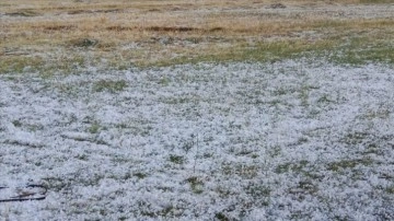 Ağrı'da dolu tarım arazilerine zarar verdi