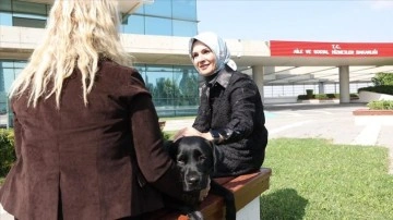 Aile ve Sosyal Hizmetler Bakanı Göktaş'tan "rehber köpek Esmer" paylaşımı