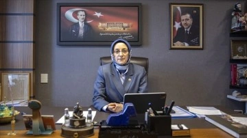 AK Parti'li Çam'dan, CHP'li Çeviköz'ün "başörtülü ve başı açık kadın"