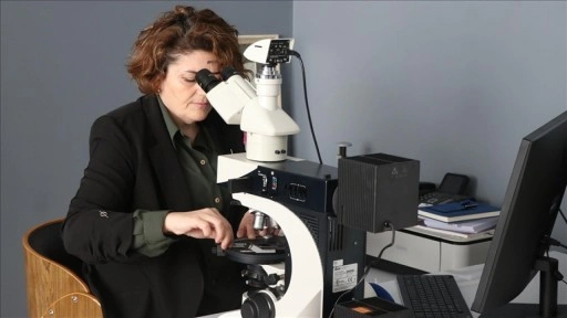 Akademisyenler grafitten grafen, organik atıklardan aktif karbon &uuml;retti