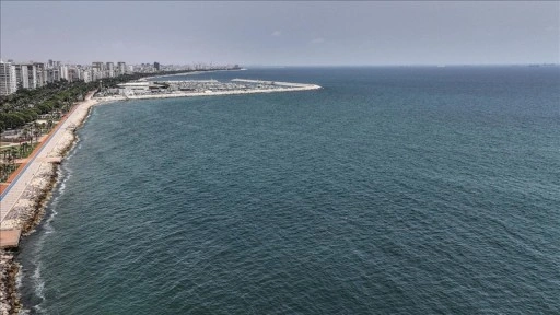 Akdeniz ve Ege kıyılarında görülen köpek balıkları "insanlara saldırmayan" türden