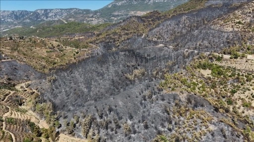 Alanya'da yangından zarar gören alanlar havadan görüntülendi