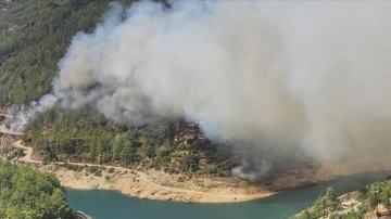 Alanya'da orman yangını çıktı