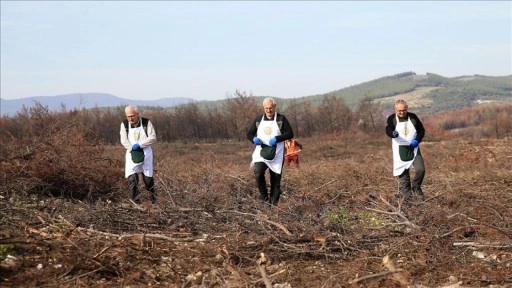 "Alev savaşçıları" bu kez fidan dikimi için sahada