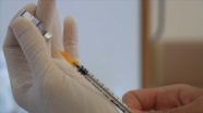 Alman bilim insanlarından Kovid-19'un A.30 varyantının aşılara dirençli olduğu uyarısı