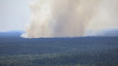 Almanya&rsquo;da H&uuml;rtgenwald beldesindeki orman yangınını s&ouml;nd&uuml;rme &ccedil;alışmaları s&uuml;r&uuml;yor