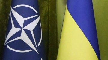 Almanya, Ukrayna'nın NATO üyeliği için doğru zaman olmadığını düşünüyor