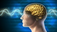 Alzheimer, beyine nasıl etki ediyor?