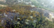 Amanoslar'daki orman yangını kontrol altında