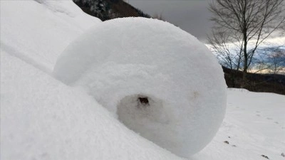 Amasya'da doğada ender oluşan kar ruloları g&ouml;r&uuml;nt&uuml;lendi