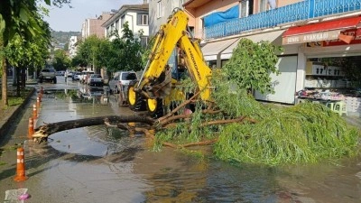 Amasya'da şiddetli fırtına ve sağanak hayatı olumsuz etkiledi