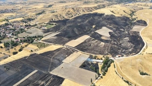 Amasya’da tarım arazisinde çıkan yangında yaklaşık 500 dönüm alan zarar gördü